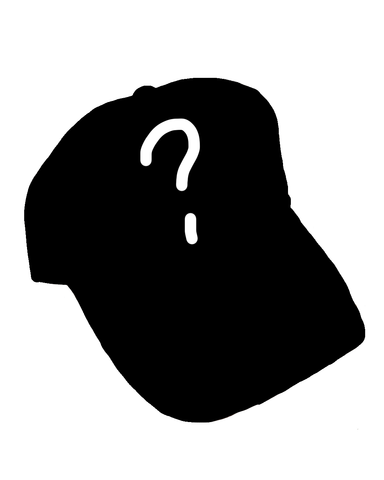 Mystery Trucker Hat